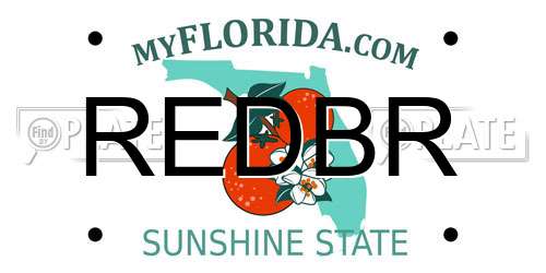 REDBR Florida License Plate