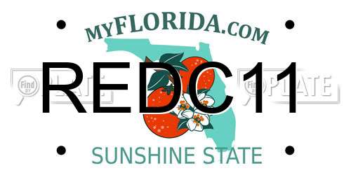 REDC11 Florida License Plate