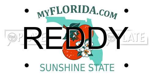 REDDY Florida License Plate
