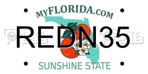 REDN35 Florida License Plate