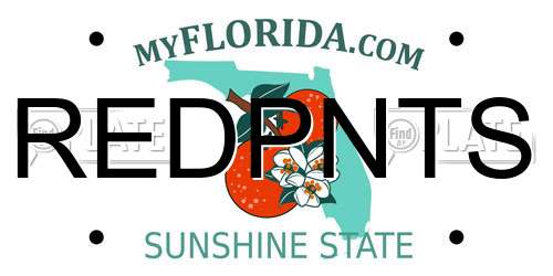 REDPNTS Florida License Plate