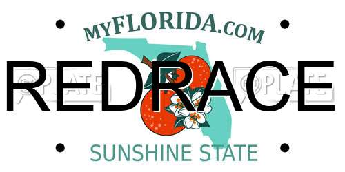 REDRACE Florida License Plate