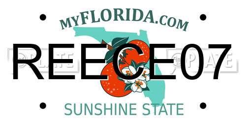REECE07 Florida License Plate