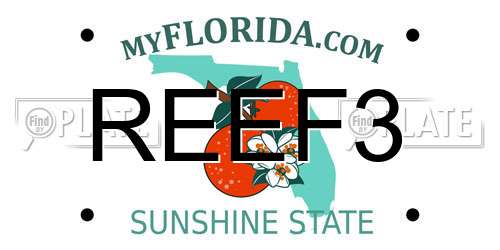 REEF3 Florida License Plate