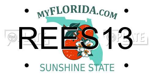 REES13 Florida License Plate