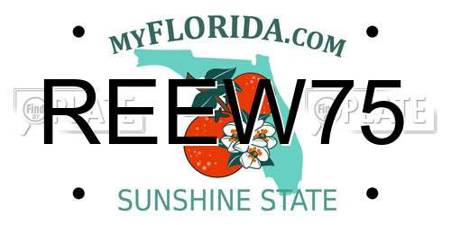REEW75 Florida License Plate