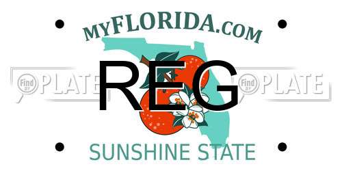 REG Florida License Plate
