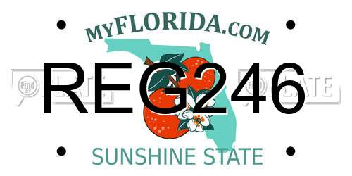 REG246 Florida License Plate
