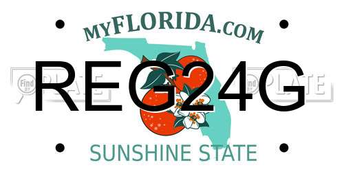 REG24G Florida License Plate