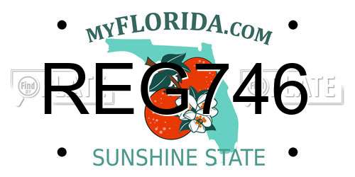 REG746 Florida License Plate