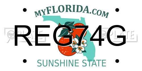 REG74G Florida License Plate