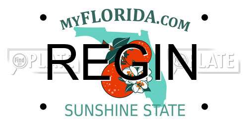 REGIN Florida License Plate