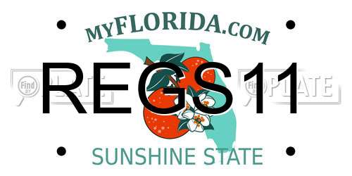 REGS11 Florida License Plate