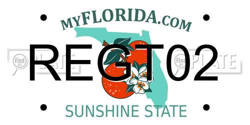 REGT02 Florida License Plate
