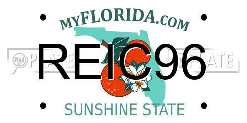 REIC96 Florida License Plate