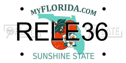 RELE36 Florida License Plate