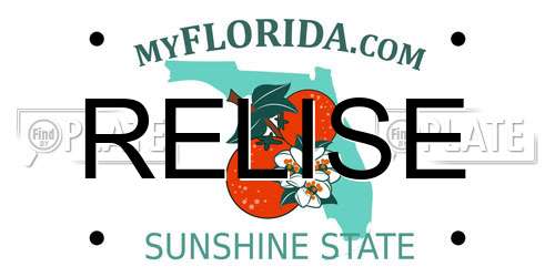 RELISE Florida License Plate