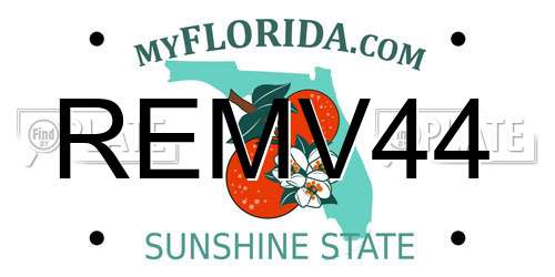 REMV44 Florida License Plate