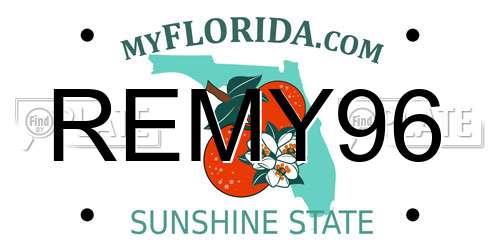 REMY96 Florida License Plate