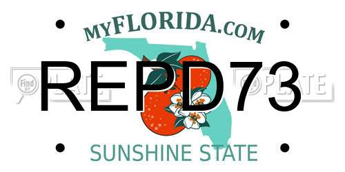 REPD73 Florida License Plate