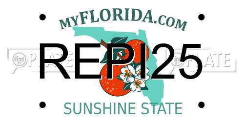REPI25 Florida License Plate