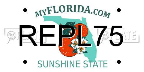 REPL75 Florida License Plate