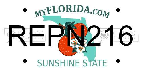 REPN216 Florida License Plate