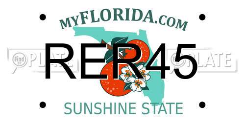 RER45 Florida License Plate