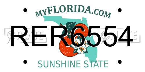 RER6554 Florida License Plate