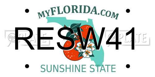 RESW41 Florida License Plate