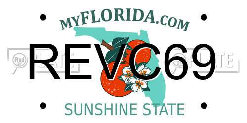 REVC69 Florida License Plate