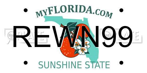 REWN99 Florida License Plate