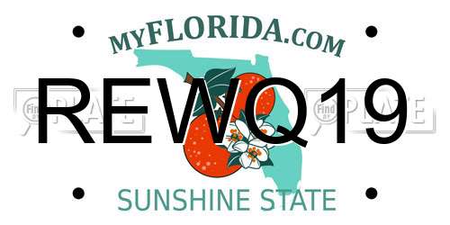 REWQ19 Florida License Plate