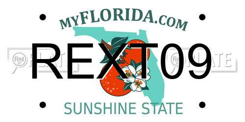 REXT09 Florida License Plate
