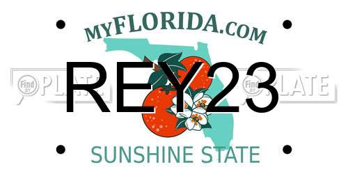 REY23 Florida License Plate