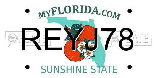 REYJ78 Florida License Plate