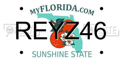 REYZ46 Florida License Plate