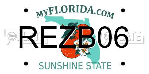 REZB06 Florida License Plate