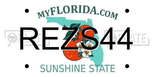 REZS44 Florida License Plate