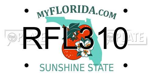 RFL310 Florida License Plate