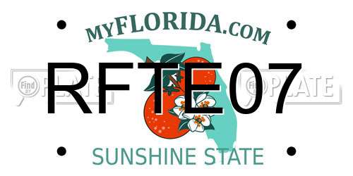 RFTE07 Florida License Plate