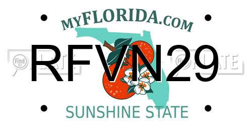 RFVN29 Florida License Plate
