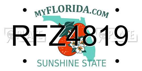 RFZ4819 Florida License Plate