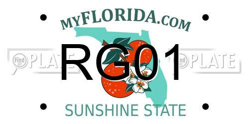 RG01 Florida License Plate