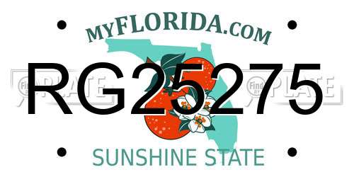 RG25275 Florida License Plate