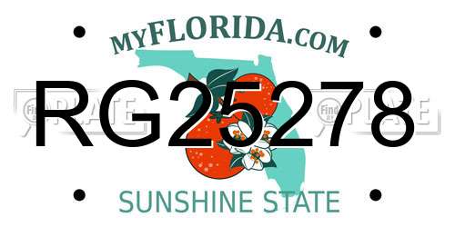 RG25278 Florida License Plate