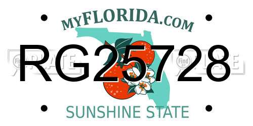 RG25728 Florida License Plate