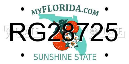 RG28725 Florida License Plate