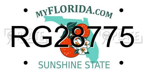 RG28775 Florida License Plate