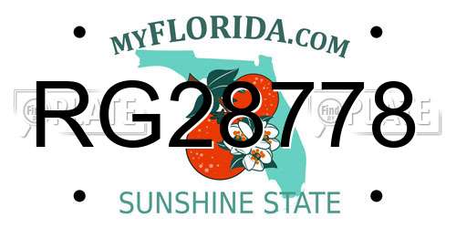 RG28778 Florida License Plate